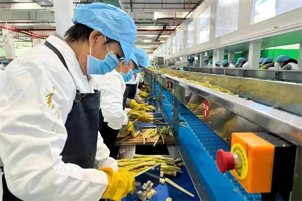 新股发行回暖 本周5只新股启动申购 注册批文发放节奏提速