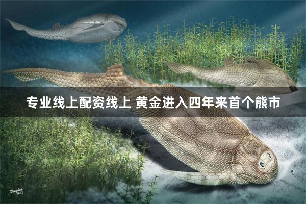 专业线上配资线上 黄金进入四年来首个熊市
