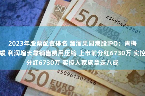 2023年股票配资排名 溜溜果园港股IPO：青梅龙头收入增速放缓 利润增长靠销售费用压缩 上市前分红6730万 实控人家族拿走八成