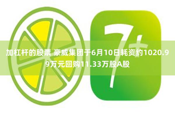 加杠杆的股票 豪威集团于6月10日耗资约1020.99万元回购11.33万股A股
