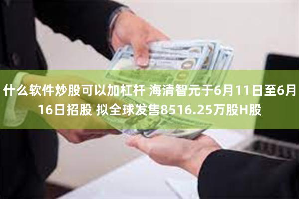什么软件炒股可以加杠杆 海清智元于6月11日至6月16日招股 拟全球发售8516.25万股H股