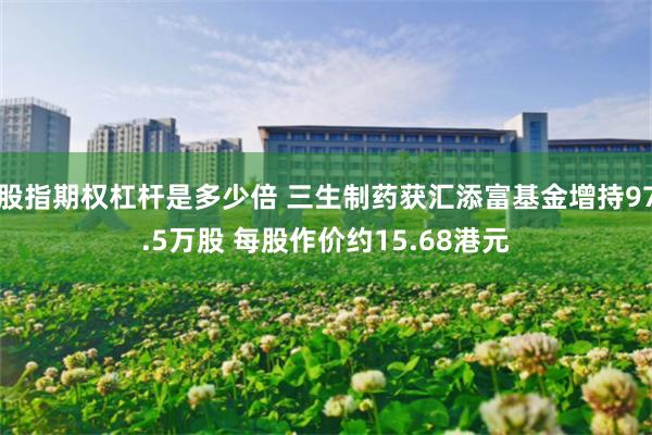 股指期权杠杆是多少倍 三生制药获汇添富基金增持97.5万股 每股作价约15.68港元