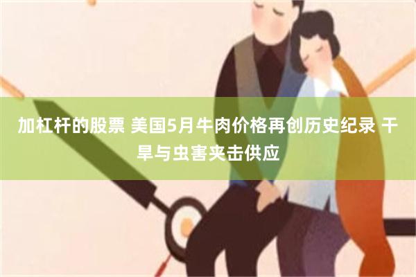 加杠杆的股票 美国5月牛肉价格再创历史纪录 干旱与虫害夹击供应