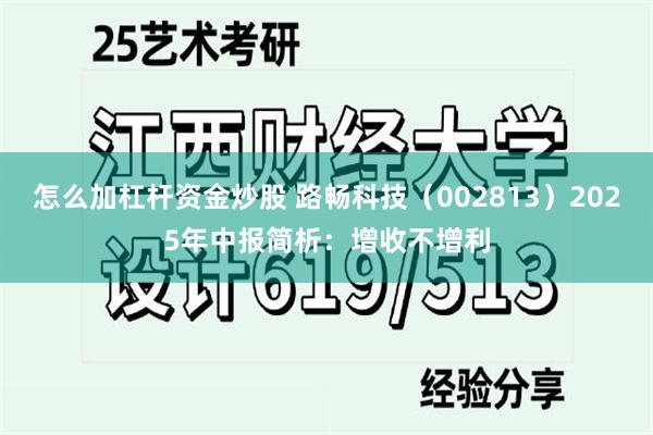 怎么加杠杆资金炒股 路畅科技（002813）2025年中报简析：增收不增利