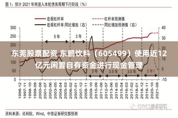 东莞股票配资 东鹏饮料（605499）使用近12亿元闲置自有资金进行现金管理