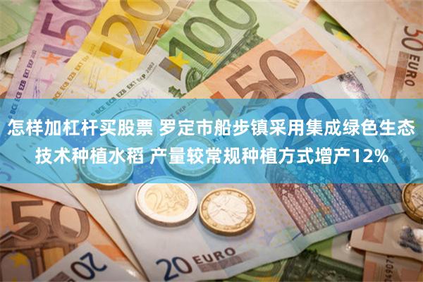 怎样加杠杆买股票 罗定市船步镇采用集成绿色生态技术种植水稻 产量较常规种植方式增产12%