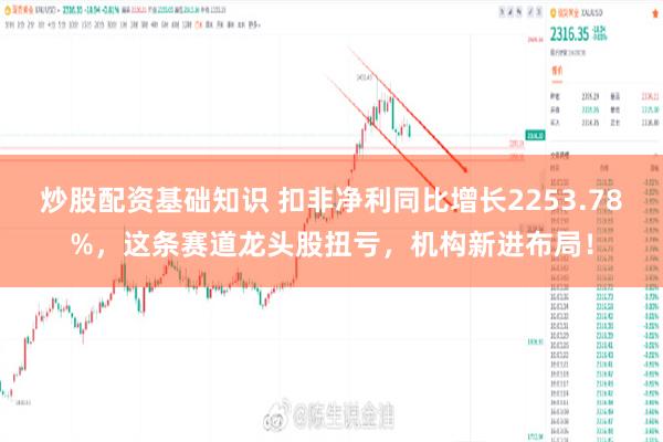炒股配资基础知识 扣非净利同比增长2253.78%，这条赛道龙头股扭亏，机构新进布局！