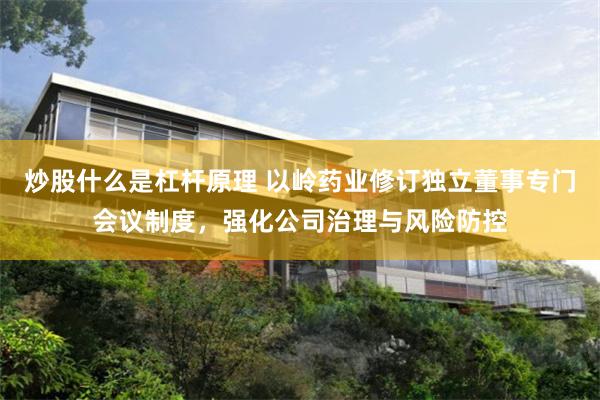 炒股什么是杠杆原理 以岭药业修订独立董事专门会议制度，强化公司治理与风险防控