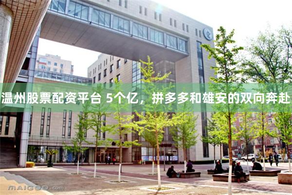 温州股票配资平台 5个亿,拼多多和雄安的双向奔赴