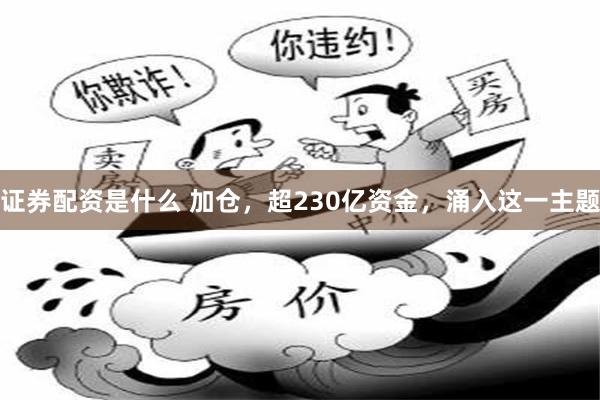 证券配资是什么 加仓,超230亿资金,涌入这一主题