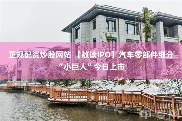 正规配资炒股网站 【数读IPO】汽车零部件细分“小巨人”今日上市