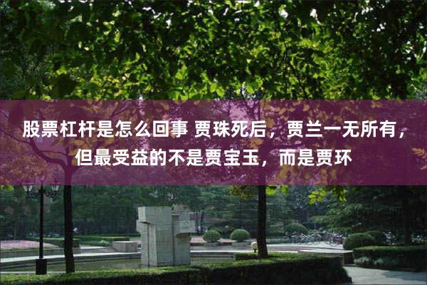 股票杠杆是怎么回事 贾珠死后，贾兰一无所有，但最受益的不是贾宝玉，而是贾环