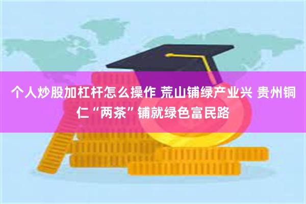 个人炒股加杠杆怎么操作 荒山铺绿产业兴 贵州铜仁“两茶”铺就绿色富民路