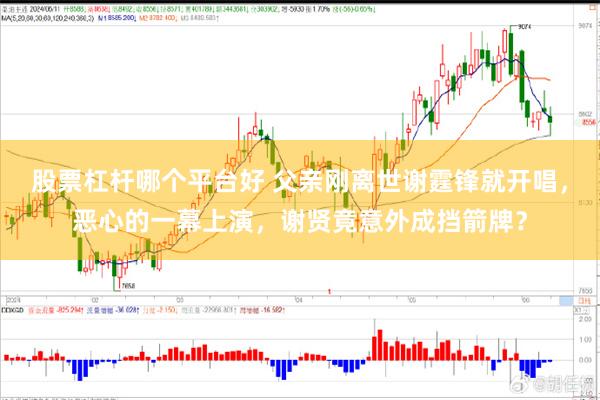 股票杠杆哪个平台好 父亲刚离世谢霆锋就开唱,恶心的一幕上演,谢贤竟意外成挡箭牌?