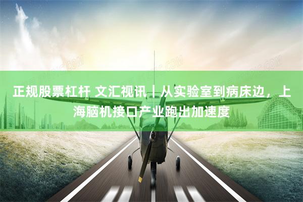 正规股票杠杆 文汇视讯｜从实验室到病床边，上海脑机接口产业跑出加速度