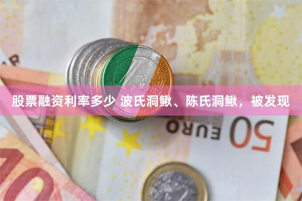 股票融资利率多少 波氏洞鳅、陈氏洞鳅，被发现