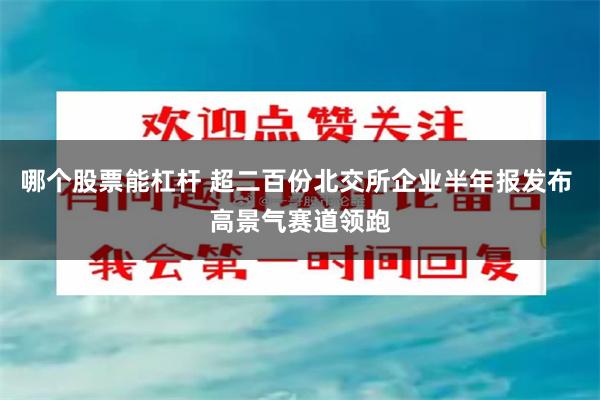 哪个股票能杠杆 超二百份北交所企业半年报发布 高景气赛道领跑