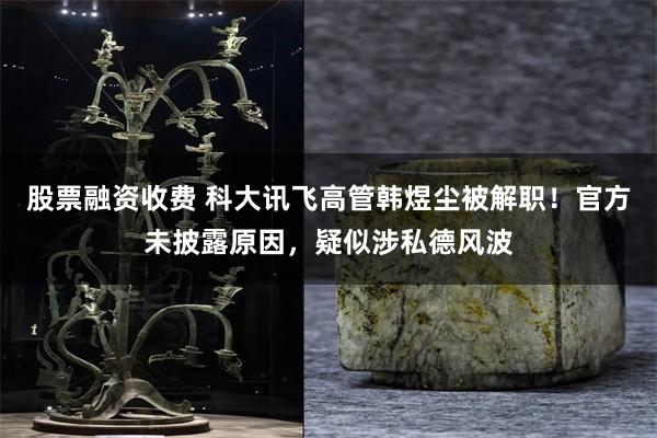 股票融资收费 科大讯飞高管韩煜尘被解职!官方未披露原因,疑似涉私德风波