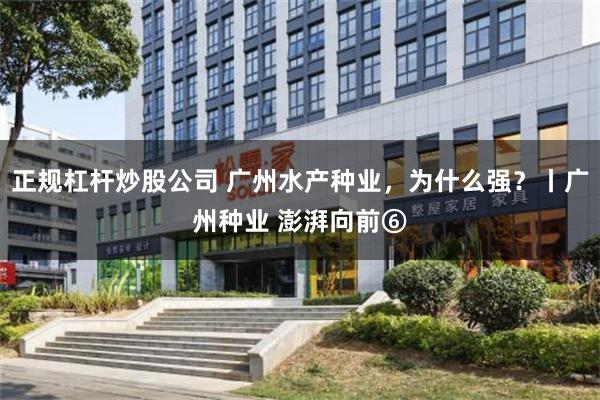 正规杠杆炒股公司 广州水产种业，为什么强？丨广州种业 澎湃向前⑥