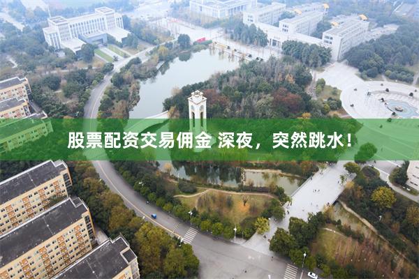 股票配资交易佣金 深夜，突然跳水！