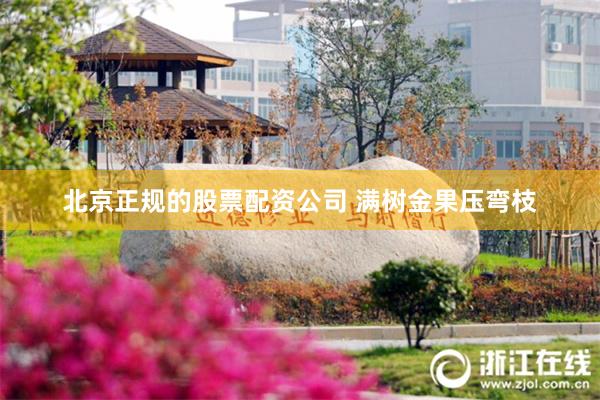 北京正规的股票配资公司 满树金果压弯枝