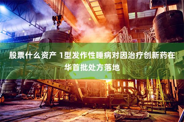 股票什么资产 1型发作性睡病对因治疗创新药在华首批处方落地
